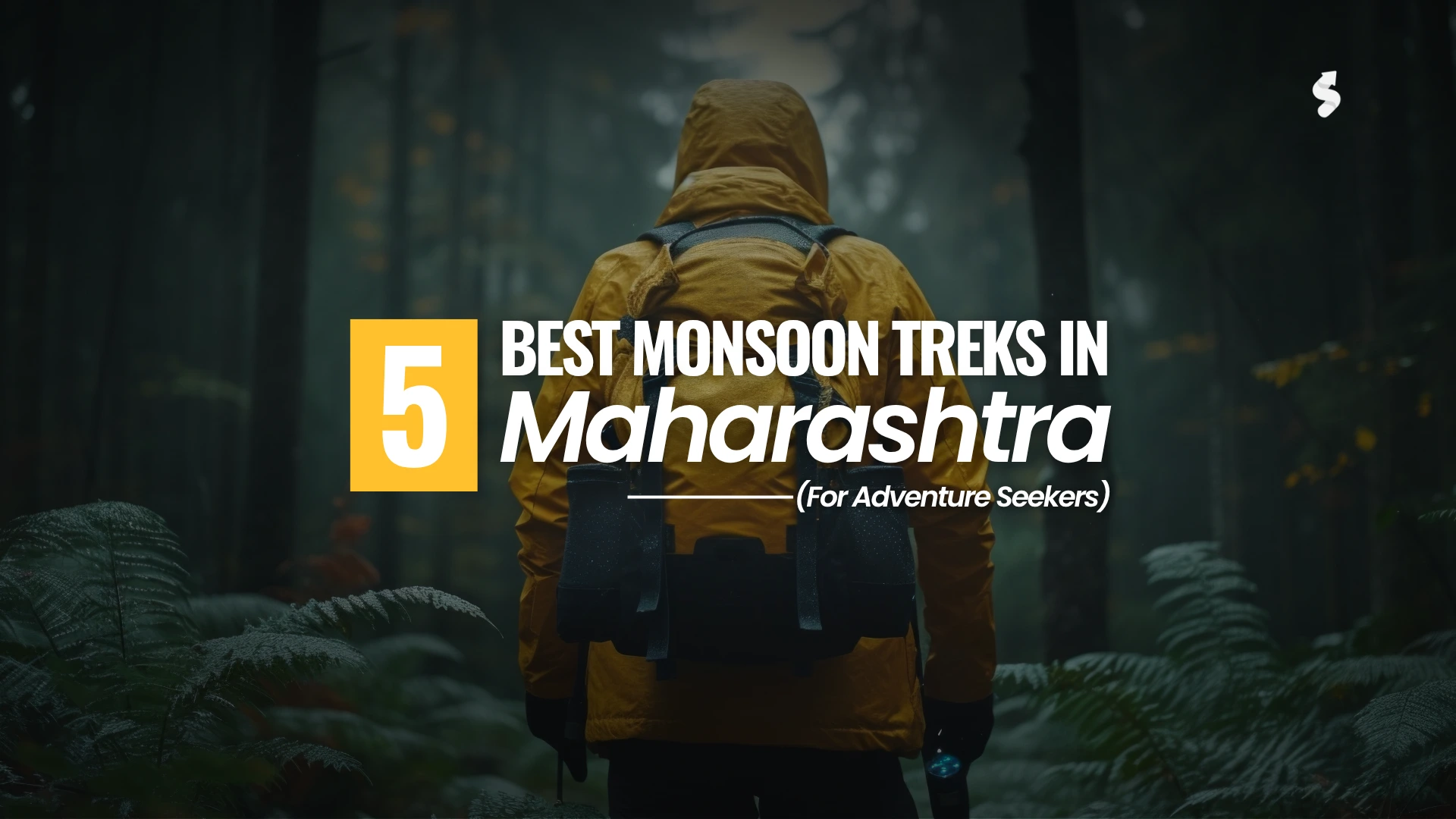 5 Best Monsoon Treks in Maharashtra for Adventure Seekers web banner 3 1