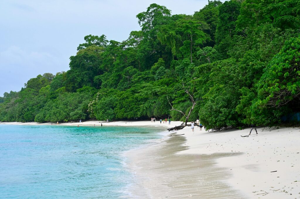 Top 10 Beaches in India You Must Visit 2 Beaches in India Radhanagar Beach, Andaman and Nicobar Islands