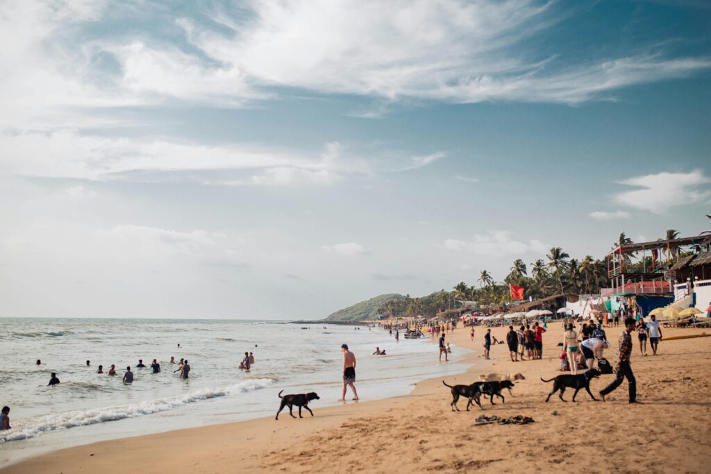 Beaches in India Baga Beach, Goa