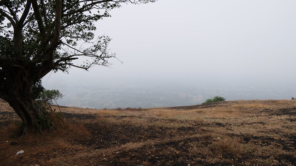 10 Things to Do in Alibaug 2 Things to do in Alibaugh Kanakeshwar Forest