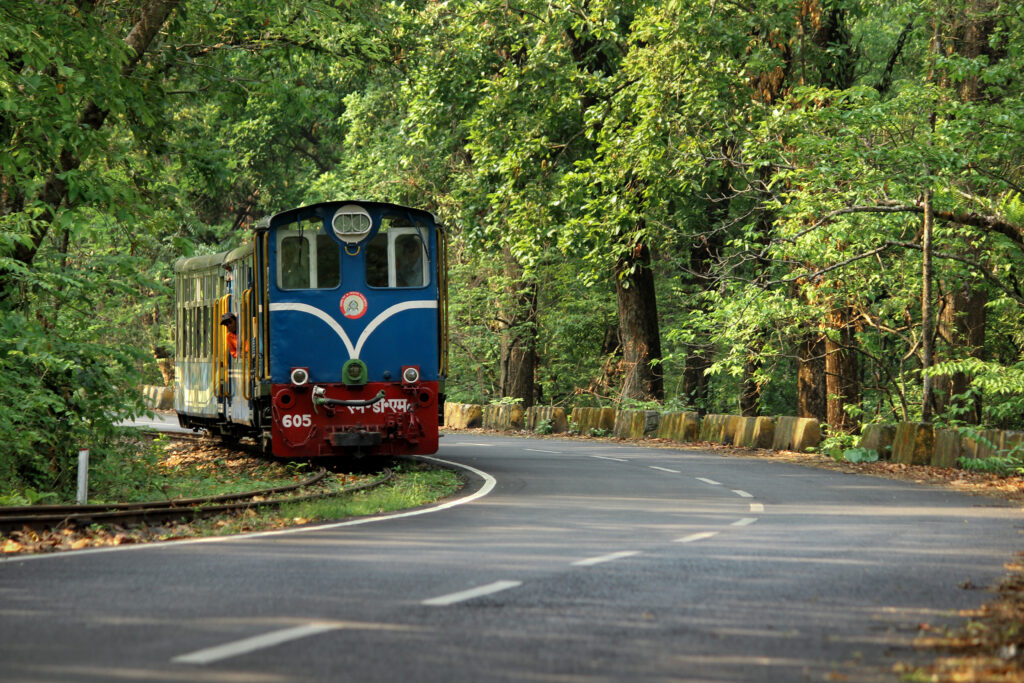 Explore Darjeeling: 5 Unmissable Things to Do Near You 2 things to do in Darjeeling