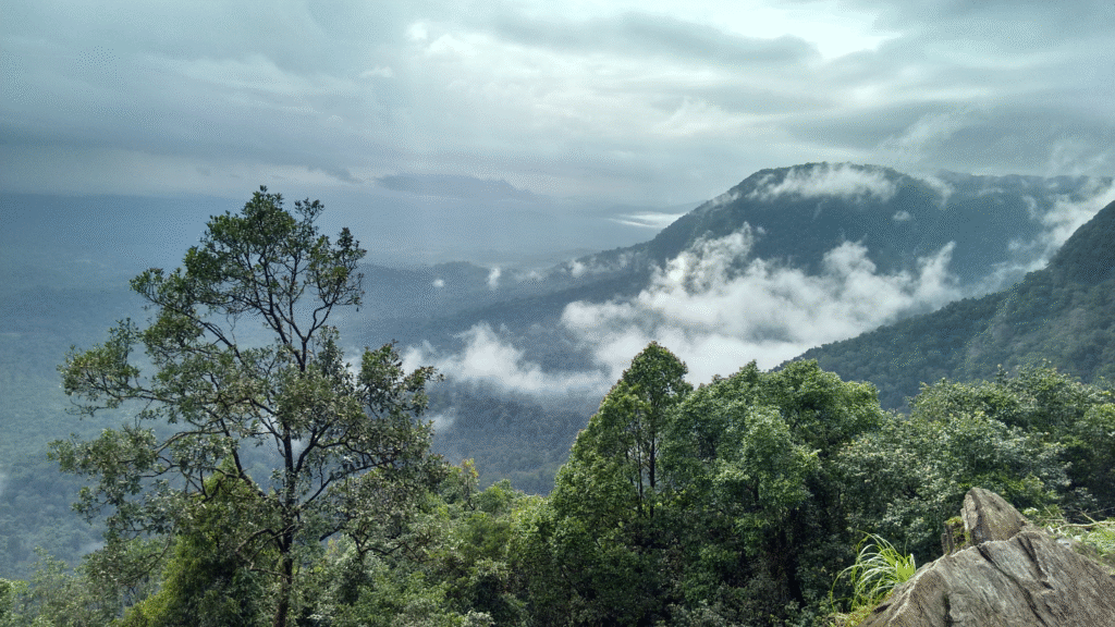Agumbe