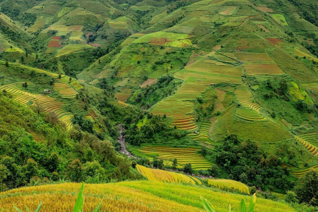 terraces 5568679 1920
