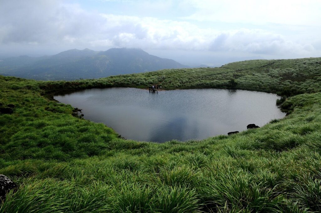 wayanad 4769648 1920