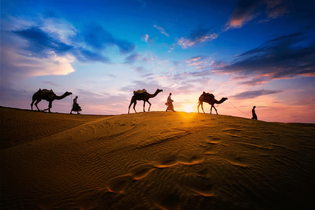 7 Travel Attractions and Things to do in India 3 image 17